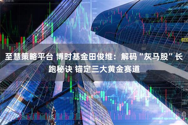 至慧策略平台 博时基金田俊维：解码“灰马股”长跑秘诀 锚定三大黄金赛道