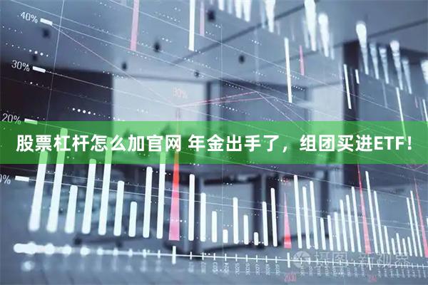 股票杠杆怎么加官网 年金出手了，组团买进ETF！