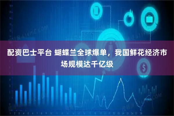 配资巴士平台 蝴蝶兰全球爆单，我国鲜花经济市场规模达千亿级